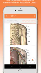 Shen-Acupuncture screenshot