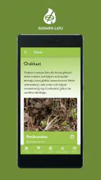 Sieniäppi screenshot