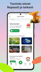 Sienitunniste screenshot