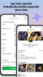 Sienitunniste screenshot
