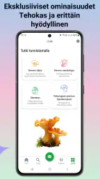 Sienitunniste screenshot