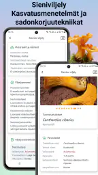 Sienitunniste screenshot