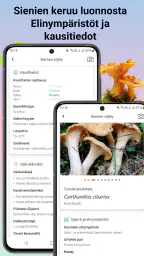 Sienitunniste screenshot