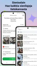 Sienitunniste screenshot