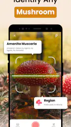 Sienitunnistus: AI Mushroom Id screenshot