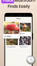 Sienitunnistus: AI Mushroom Id screenshot