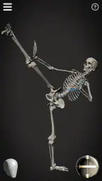 Skelly: Poseable Anatomy Model screenshot