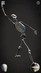 Skelly: Poseable Anatomy Model screenshot