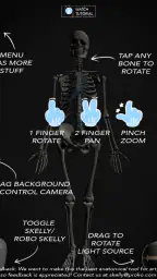 Skelly: Poseable Anatomy Model screenshot
