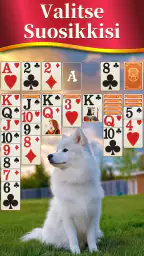Solitaire - Korttipelit screenshot