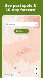 Sporecast: Mushroom Map & ID screenshot
