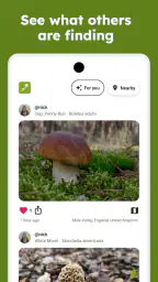 Sporecast: Mushroom Map & ID screenshot