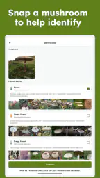 Sporecast: Mushroom Map & ID screenshot