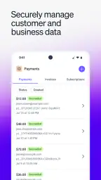 Stripe Dashboard screenshot