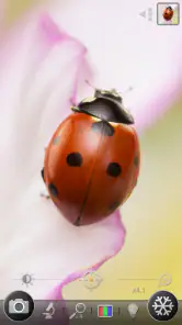 Suurennuslasi & Microscope screenshot