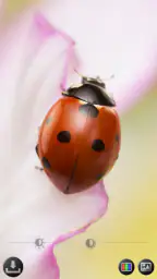 Suurennuslasi & Microscope screenshot