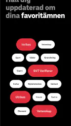 SVT Nyheter screenshot