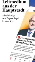 Tagesspiegel - Nachrichten screenshot