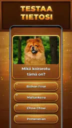 Tietopuu: Trivia Blocks screenshot