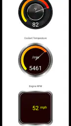 Tor OBD2 Diagnostics screenshot