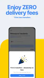 TransferGo: Money Transfer screenshot