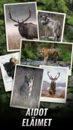 Trophy Hunter: rentoja jahteja screenshot