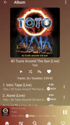 USB Audio Player PRO screenshot