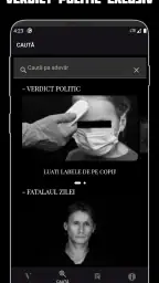 Verdict Dana Budeanu screenshot