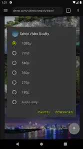 Video Downloader Pro screenshot