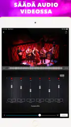 VideoMaster Video Sound Editor screenshot