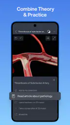 VOKA 3D Anatomy & Pathology screenshot