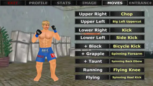 Weekend Warriors MMA screenshot