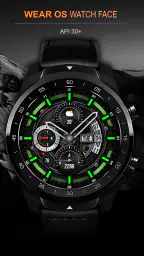 WFP 300 Tomcat PRO screenshot