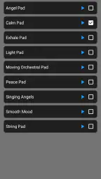 Worship Backing Tracks screenshot