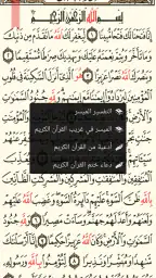 القرآن الكريم كامل بدون انترنت screenshot