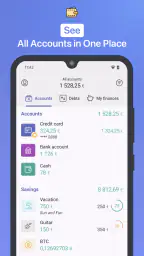 1Money: dépenses, finances screenshot