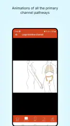A Manual of Acupuncture 2025 screenshot