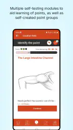 A Manual of Acupuncture 2025 screenshot