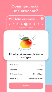 amma: Calendrier de grossesse screenshot
