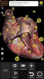 Anatomie - Atlas 3D screenshot