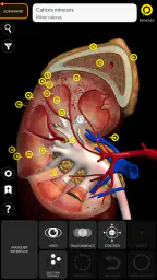 Anatomie - Atlas 3D screenshot