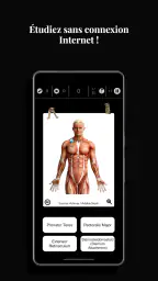 Anatomist - Le Jeu d'Anatomie screenshot