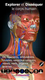 Anatomy Learning - Anatomie 3D screenshot