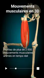 Anatomy Learning - Anatomie 3D screenshot