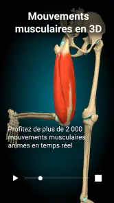 Anatomy Learning - Anatomie 3D screenshot