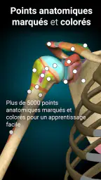 Anatomy Learning - Anatomie 3D screenshot