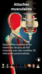 Anatomy Learning - Anatomie 3D screenshot