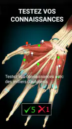 Anatomy Learning - Anatomie 3D screenshot