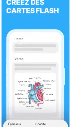 Noji: Fiche de Revision screenshot