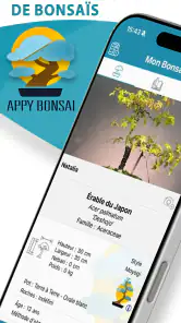 Appy Bonsai – Gestion et soins screenshot